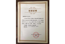 石家莊心理咨詢榮譽資質